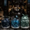 La tokenomics d'un projet crypto : décrypter l'offre, l'inflation et la distribution