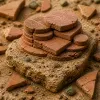 Layer 2 et rollups : la course à la scalabilité va-t-elle fragmenter l'écosystème Ethereum ?
